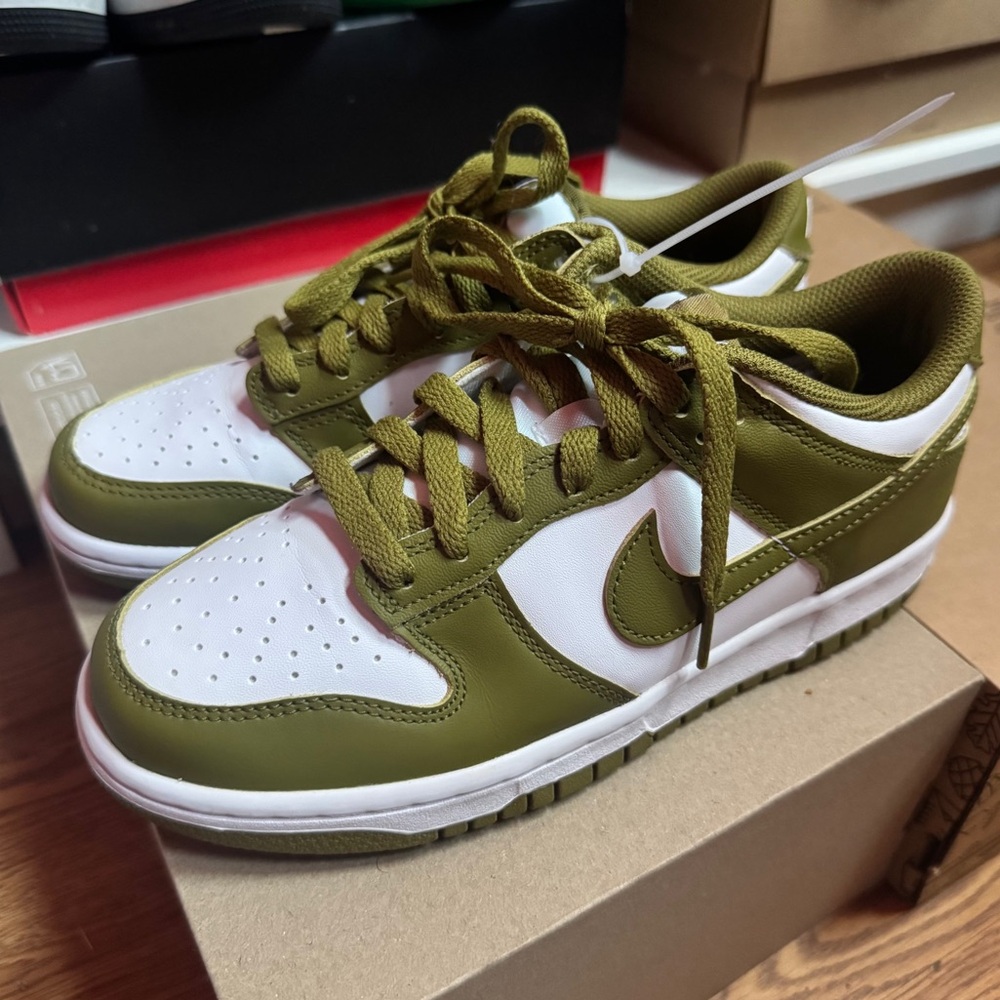 Nike Dunk Sneakers